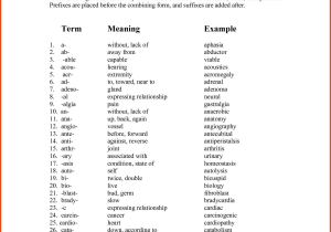 Point Of View Worksheet 11 Also Großartig Anatomy and Physiology Prefixes and Suffixes Galerie