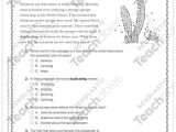 Point Of View Worksheet Answers and Tale From the Deep Close Reading Passage