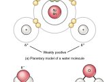Polarity and Electronegativity Worksheet Answers Along with 2 2 Chemical Bonds – Anatomy and Physiology