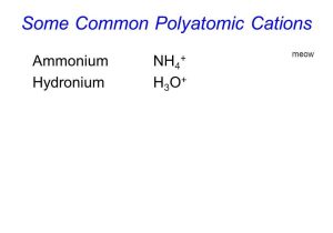 Polyatomic Ionic Compounds Worksheet together with Polyatomic Ions Ppt Video Online