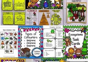 Population Community and Ecosystem Worksheet Answer Key together with 1000 Best Teaching Ideas Teaching Resources Images On Pinterest