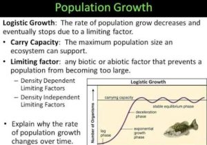 Population Growth Worksheet Answers Along with Module 4 Quiz 2 1 What are the Limiting Factors that Affect