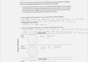Population Growth Worksheet Answers and Awesome Exponential Growth and Decay Worksheet Inspirational
