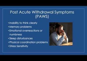 Post Acute withdrawal Syndrome Worksheet or Post Acute withdrawal Syndrome Paws