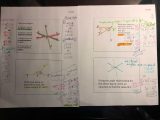 Practice Worksheet solving Systems with Matrices Answers and Adams Middle School
