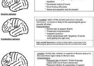 Printable Aphasia Worksheets Along with 174 Best Aphasia Tbi Ot Pt Slp Images On Pinterest