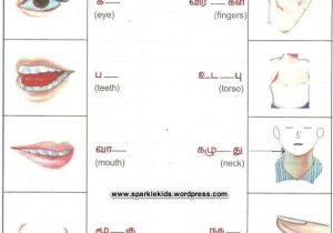 Printable English Worksheets with Sample Tamil Worksheets