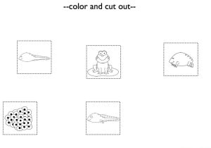 Printable toddler Worksheets with Science Learningworksheetsfortoddlersprekkinde