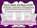 Producer Consumer Decomposer Worksheet Along with 77 Best Science Food Chain Images On Pinterest