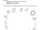 Producer Consumer Decomposer Worksheet and 101 Best Food Chains Webs Images On Pinterest