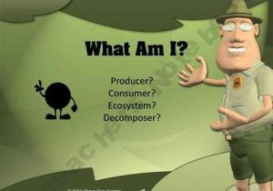 Producer Consumer Decomposer Worksheet and 77 Best Science Food Chain Images On Pinterest