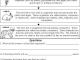 Producer Consumer Decomposer Worksheet together with Behr John Biology Chapter 13