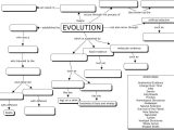 Prokaryotic and Eukaryotic Cells Worksheet Answer Key Flinn Scientific together with Evolution Concept Map
