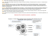 Prokaryotic and Eukaryotic Cells Worksheet Answers together with topic 1 2 Ultra Structure Of Cells Amazing World Of