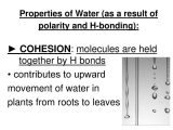 Properties Of Water Worksheet Answers Along with Notes 22 Properties Of Water Ppt