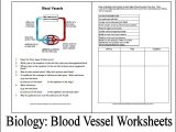 Properties Of Water Worksheet Biology or Properties Water Worksheet Biology Lovely Bioknowledgy 2 2 Water