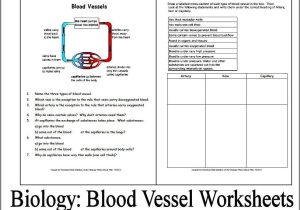Properties Of Water Worksheet Biology or Properties Water Worksheet Biology Lovely Bioknowledgy 2 2 Water