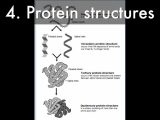 Protein Structure Pogil Worksheet Answers as Well as Macromolecules by Lawrence Wilson