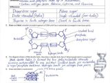 Protein Synthesis Review Worksheet Answers or Ib Dna Structure & Replication Review Key 2 6 2 7 7 1