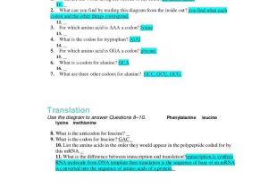 Protein Synthesis Review Worksheet Answers with Unique Transcription and Translation Worksheet Answers New Rna and