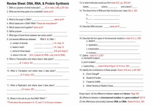 Protein Synthesis Review Worksheet Answers with Worksheet Dna Rna and Protein Synthesis Unique Ideas Archives
