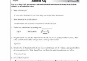 Protein Synthesis Webquest Worksheet Answer Key Also H