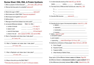Protein Synthesis Webquest Worksheet Answer Key or Dna Triplets Mrna Codon Amino Acid Match What are the Differences