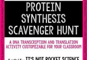 Protein Synthesis Worksheet and Protein Synthesis Scavenger Hunt Activity
