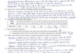 Protein Synthesis Worksheet Answer Key Part A or Transcription and Translation Worksheet Answers