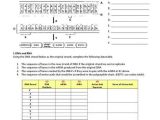 Protein Synthesis Worksheet Answers or Fresh Protein Synthesis Worksheet Answers Awesome Answering the