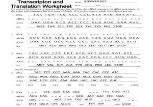 Protein Synthesis Worksheet Answers together with Unique Transcription and Translation Worksheet Answers New Rna and
