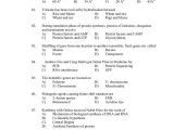 Protein Synthesis Worksheet Answers with Lovely Protein Synthesis Worksheet Answers Elegant Set Botany