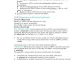 Protein Synthesis Worksheet Key and Worksheets 49 Unique Transcription and Translation Worksheet Answers