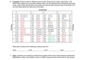 Protein Synthesis Worksheet Key as Well as New Protein Synthesis Worksheet Answers Awesome Worksheet Dna Rna