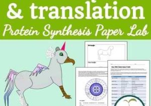 Protein Synthesis Worksheet together with Protein Synthesis Transcription and Translation
