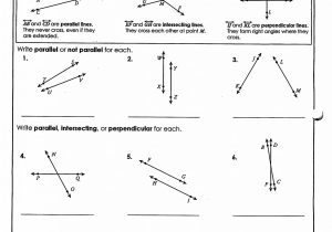 Proving Parallel Lines Worksheet with Answers with Worksheet Parallel Lines and Transversals Worksheet Answer Key