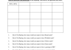 Punnett Square Practice Problems Worksheet Along with Worksheets 45 Inspirational Dihybrid Cross Worksheet Hd Wallpaper