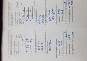 Punnett Square Worksheet 1 Key with Coloring Pages Blood Worksheet Answers New Blood Drawing at
