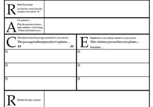Race Writing Strategy Worksheet as Well as 25 Best Constructed Response Images On Pinterest