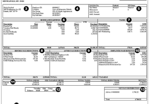 Reading A Pay Stub Worksheet together with Resume 48 Best Pay Stub Template Full Hd Wallpaper Graphs