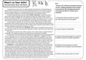 Reading Comprehension Worksheets 7th Grade Also Reading Prehension Worksheets for 7th Grade Kidz Activities