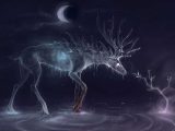 Realism and Fantasy Worksheets for Kindergarten and Animal Artistic Psychedelic 3d Cgi Deer Fantasy Abstract Winter