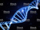 Recombinant Dna Technology Worksheet Answers and Digital Dna Stock and More Of Abstract istock