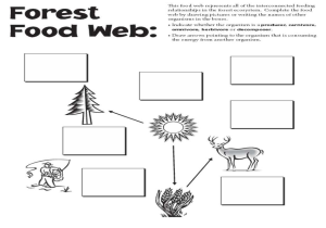 Recycling Worksheets for Elementary Students Along with Free Food Chain Worksheet Worksheets for All Download and Sh