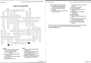 Redox Reaction Worksheet with Answers with Crossword Synthesissswordle and Answers Cellular Respir