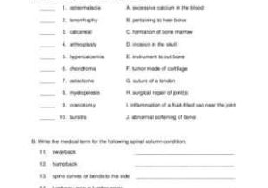 Respiratory System Medical Terminology Worksheet Also 19 Best Medical Terminology Images On Pinterest