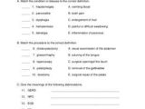 Respiratory System Medical Terminology Worksheet and 19 Best Medical Terminology Images On Pinterest