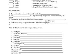 Respiratory System Medical Terminology Worksheet as Well as 19 Best Medical Terminology Images On Pinterest