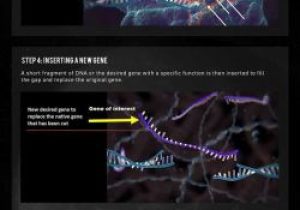 Restriction Enzyme Worksheet with 39 Best Genetics Images On Pinterest