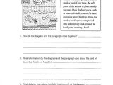 Revising and Editing Worksheets with theme6 Worksheets